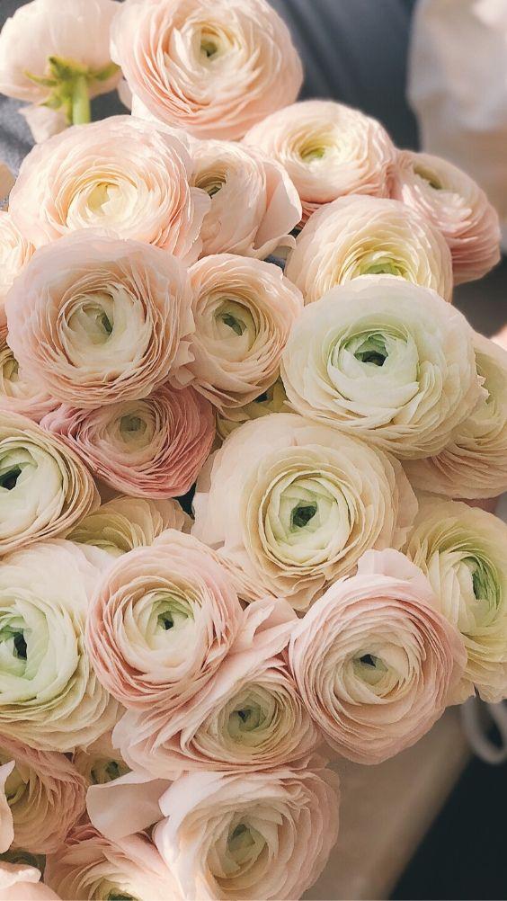 Enchanted Eve Floral Symphony